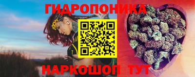 Альфа ПВП Аргун