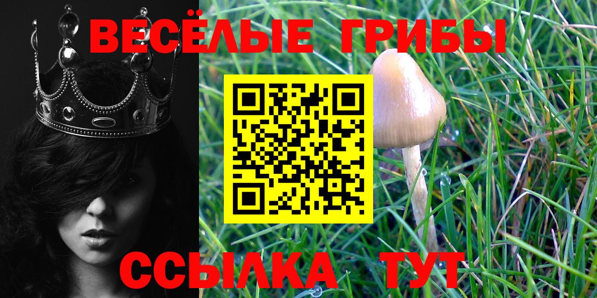 Бахчисарай  Галлюциногенные грибы мухоморы  Вход с VPN 