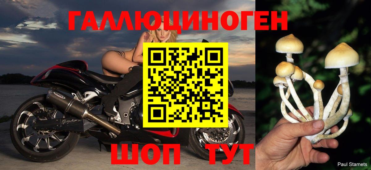 Псилоцибиновые грибы Cubensis  Галлюциногенные грибы Magic Shrooms  Бахчисарай 